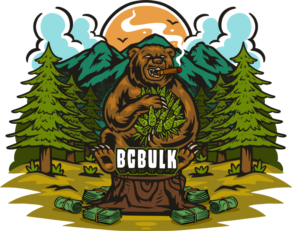 The Different Types of Hash Exploring Bubble Hash, Dry Sift, and Other