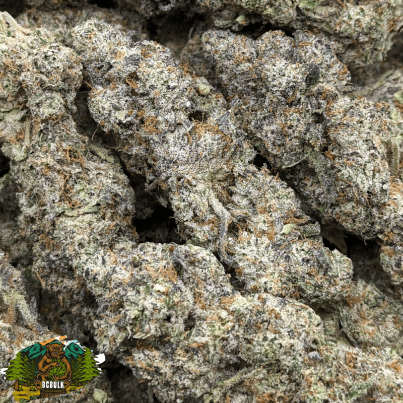 Blue Lobster Bulk Cannabis