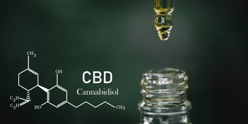 How Long Does CBD Stay in Your System