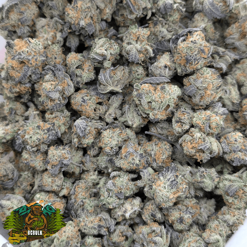 rainbow sherbet strain