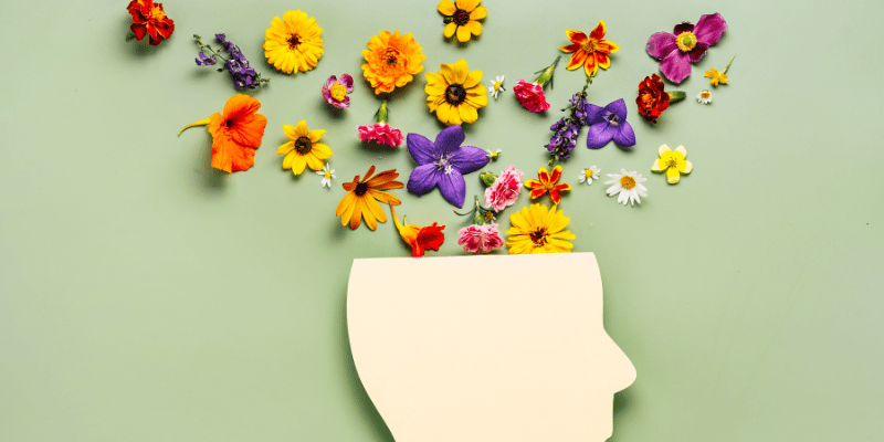 Cannabis and Mental Health