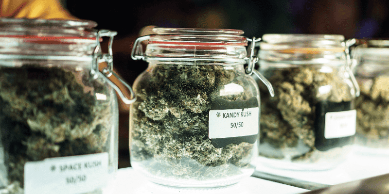 The Ultimate Guide to Buying Medical Marijuana