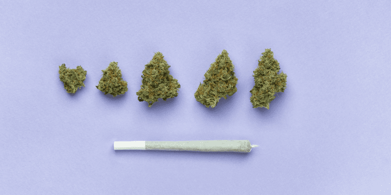 Understanding Cannabis Dosage