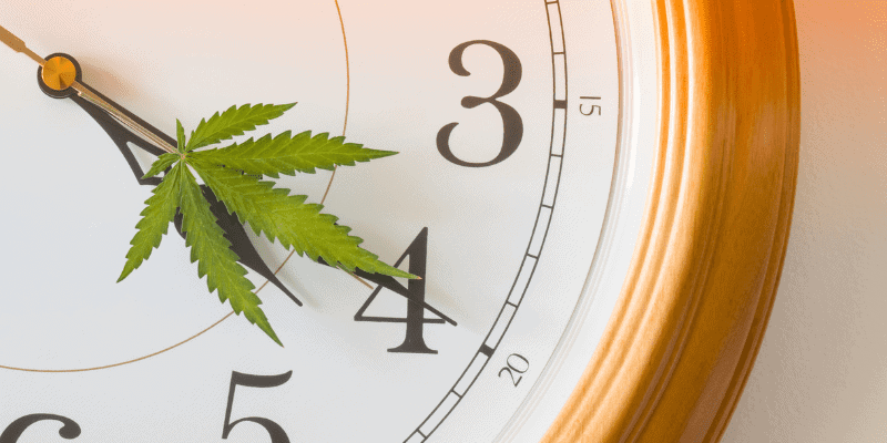 How to Introduce Cannabis to First-Time Users