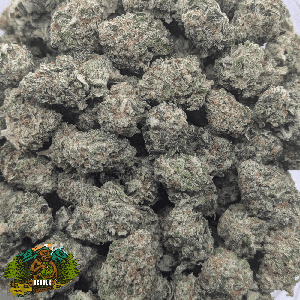 strain lso shiatsu kush