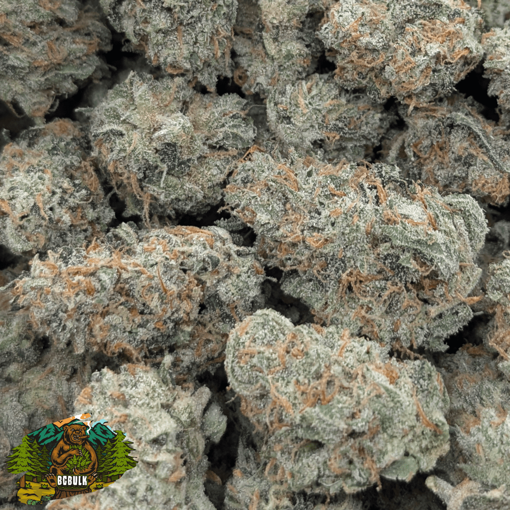 strawberry guava strain