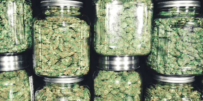 bulkcannabiscc best online dispensary canada