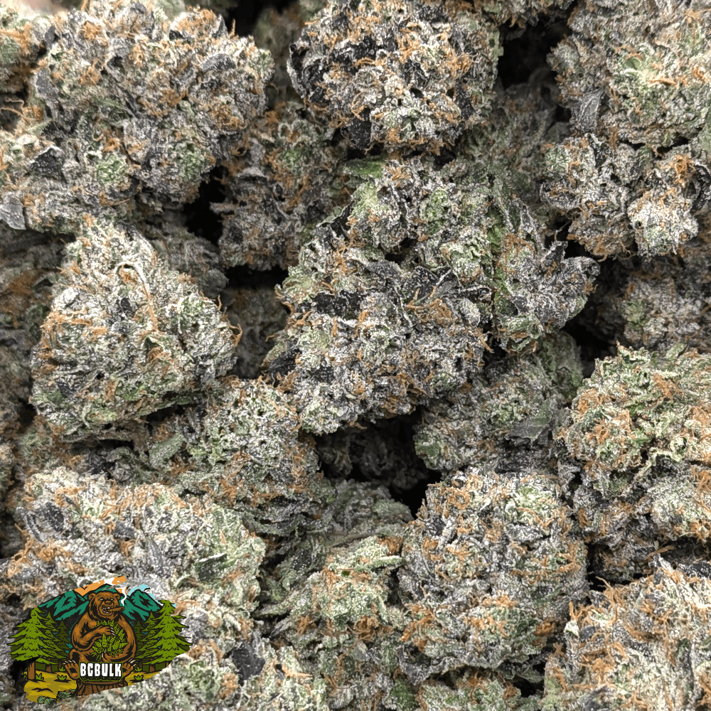 mike tyson og strain