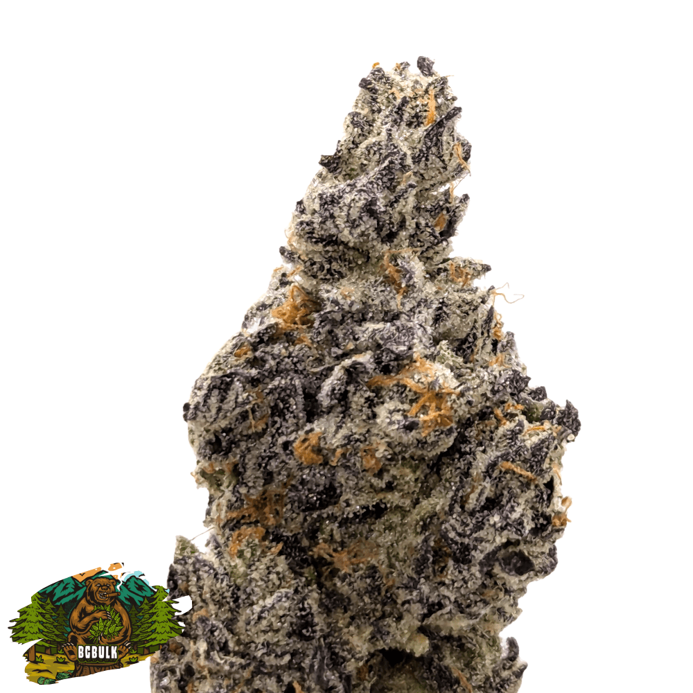 permanent marker nugs