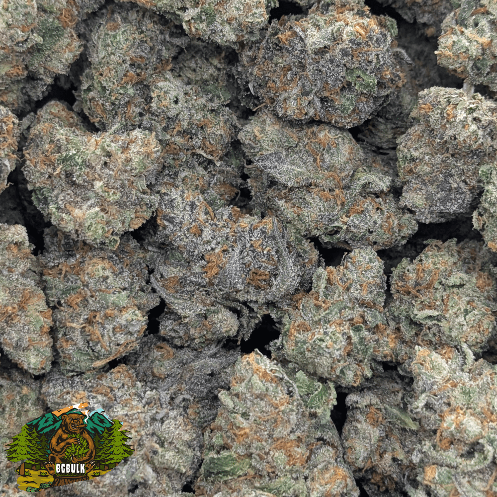 strain animal crackers