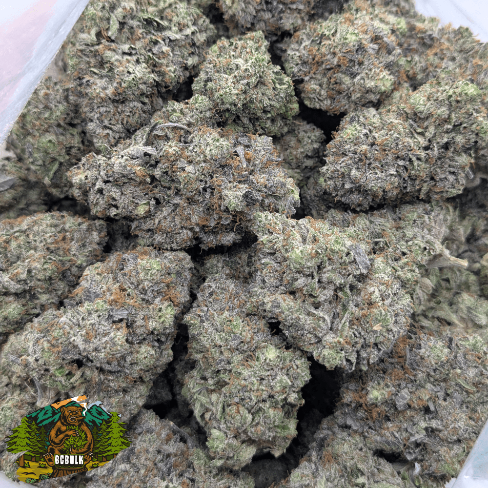 doughboy pink strain