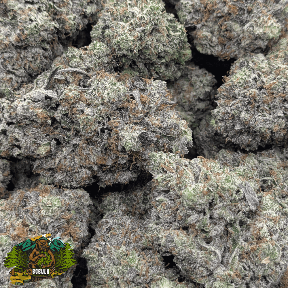 strain doughboy pink