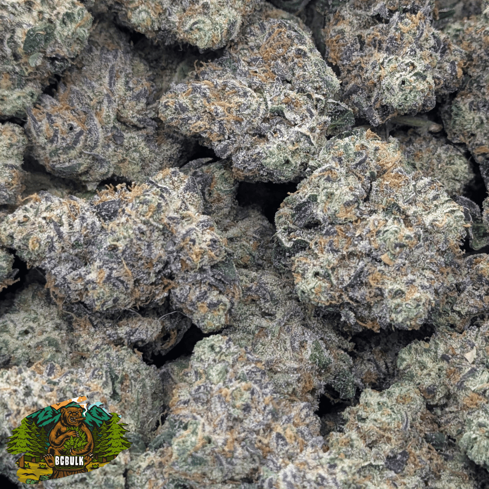 pug junky strain smalls