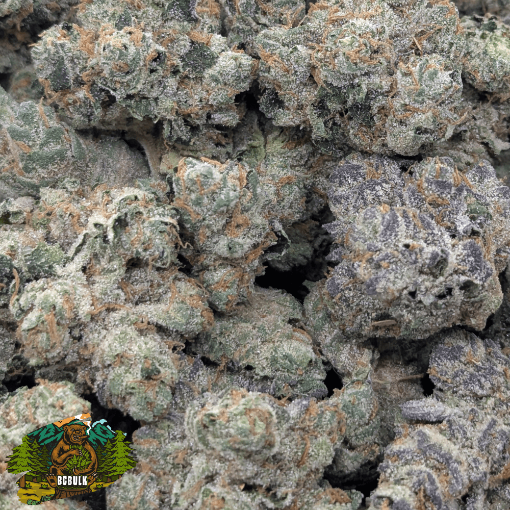 purple chemdawg strain