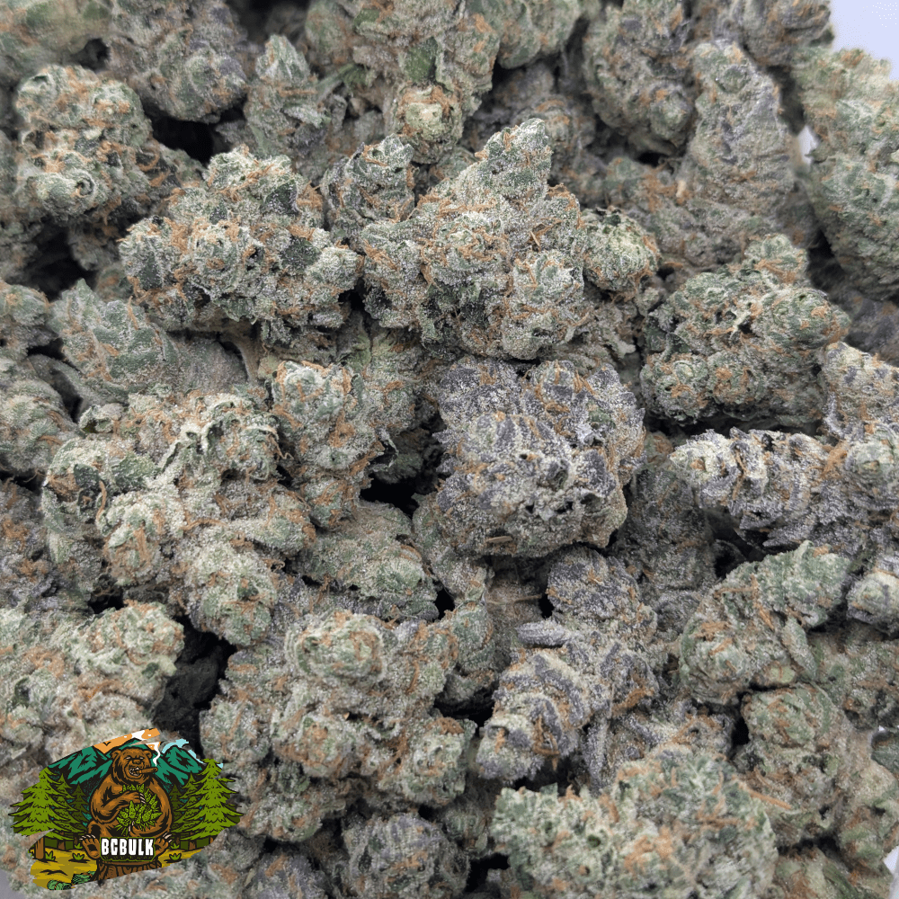 strain purple chemdawg