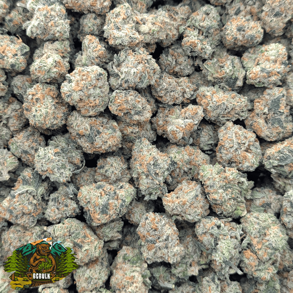 strain grandpas breath