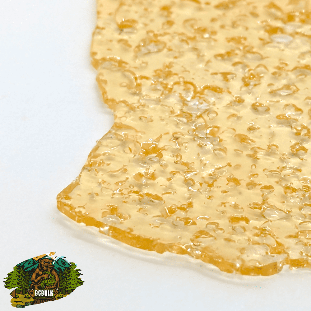 shatter pink champaign