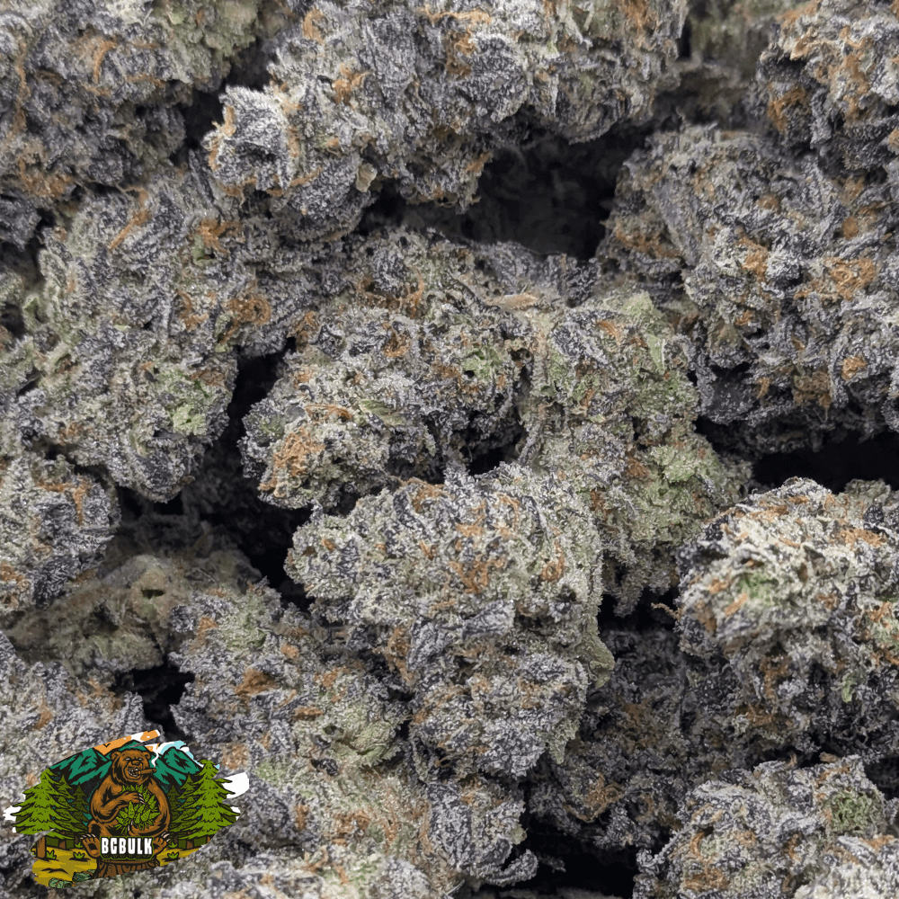 strain permanent marker 3