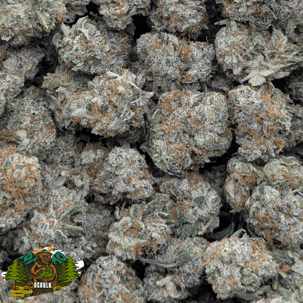 strawberry gary strain