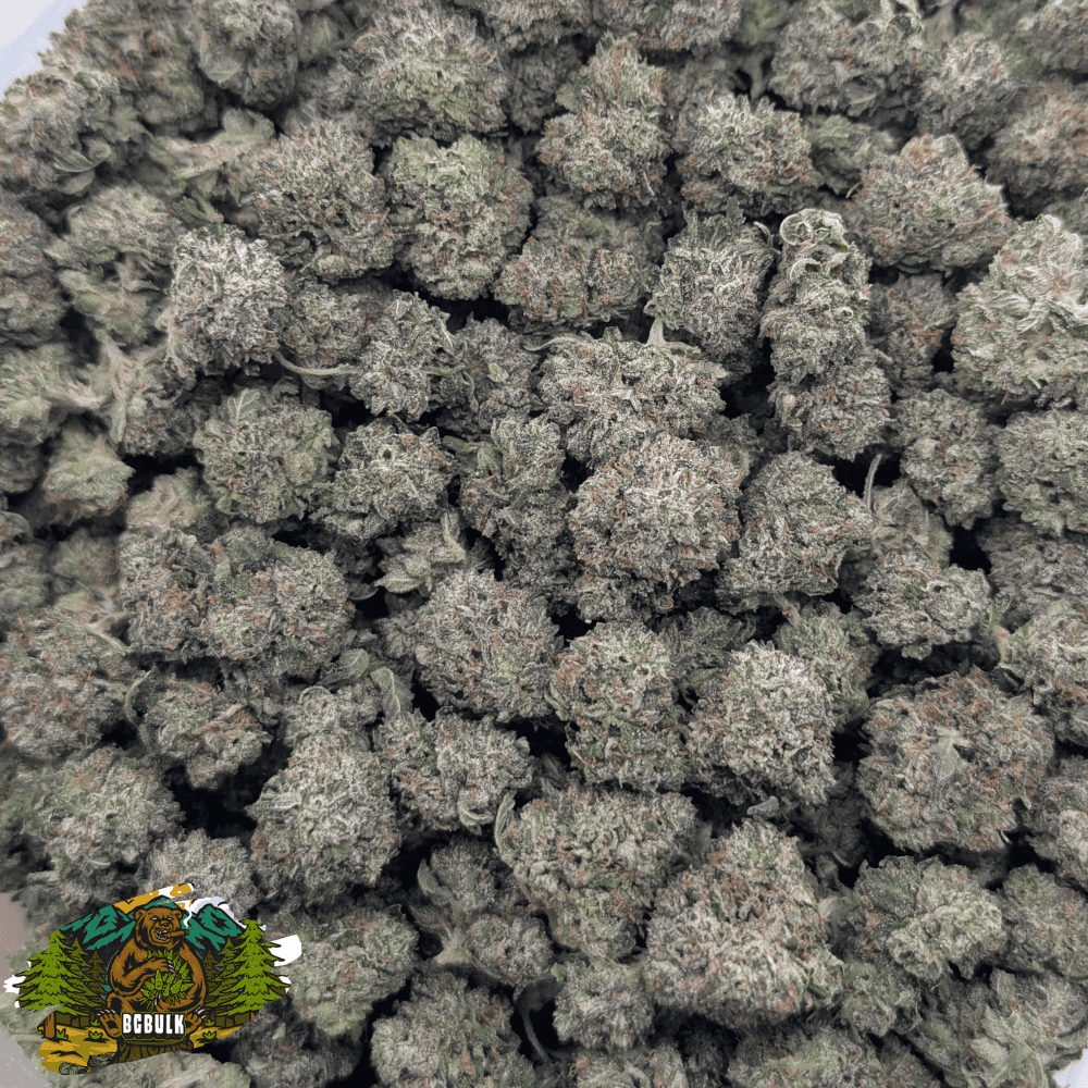 rockstar og strain smalls 2