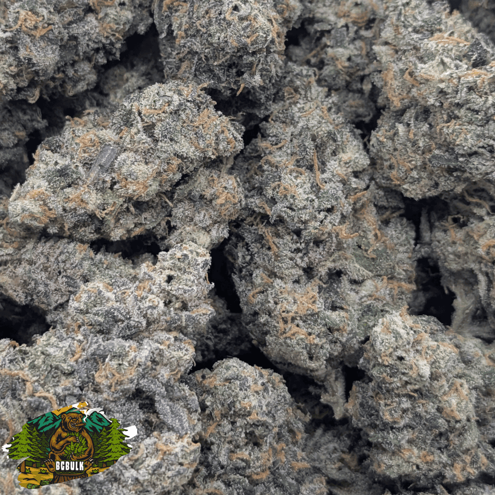 strain blueberry bang 1