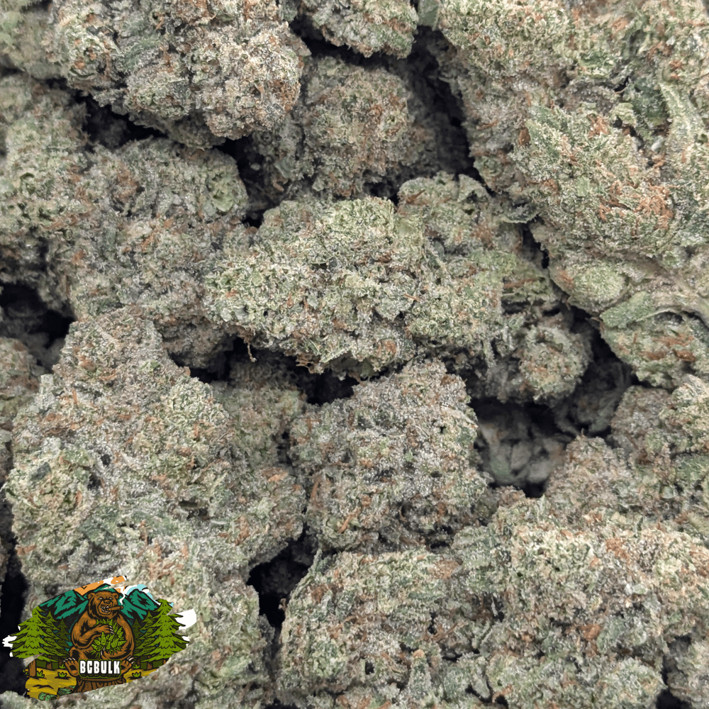 strain chem 4 goliath