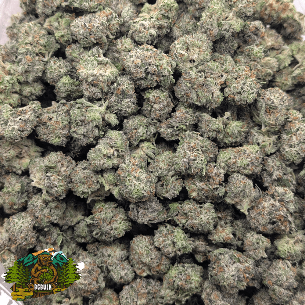 strain mk ultra smalls 2