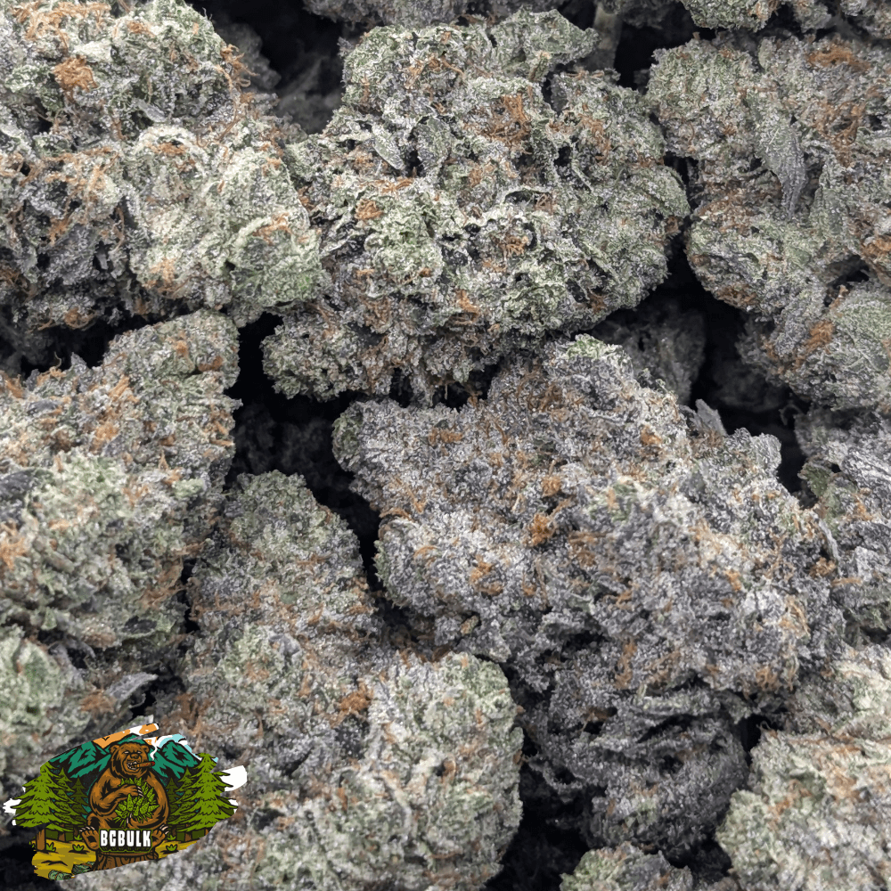 island pink strain 3