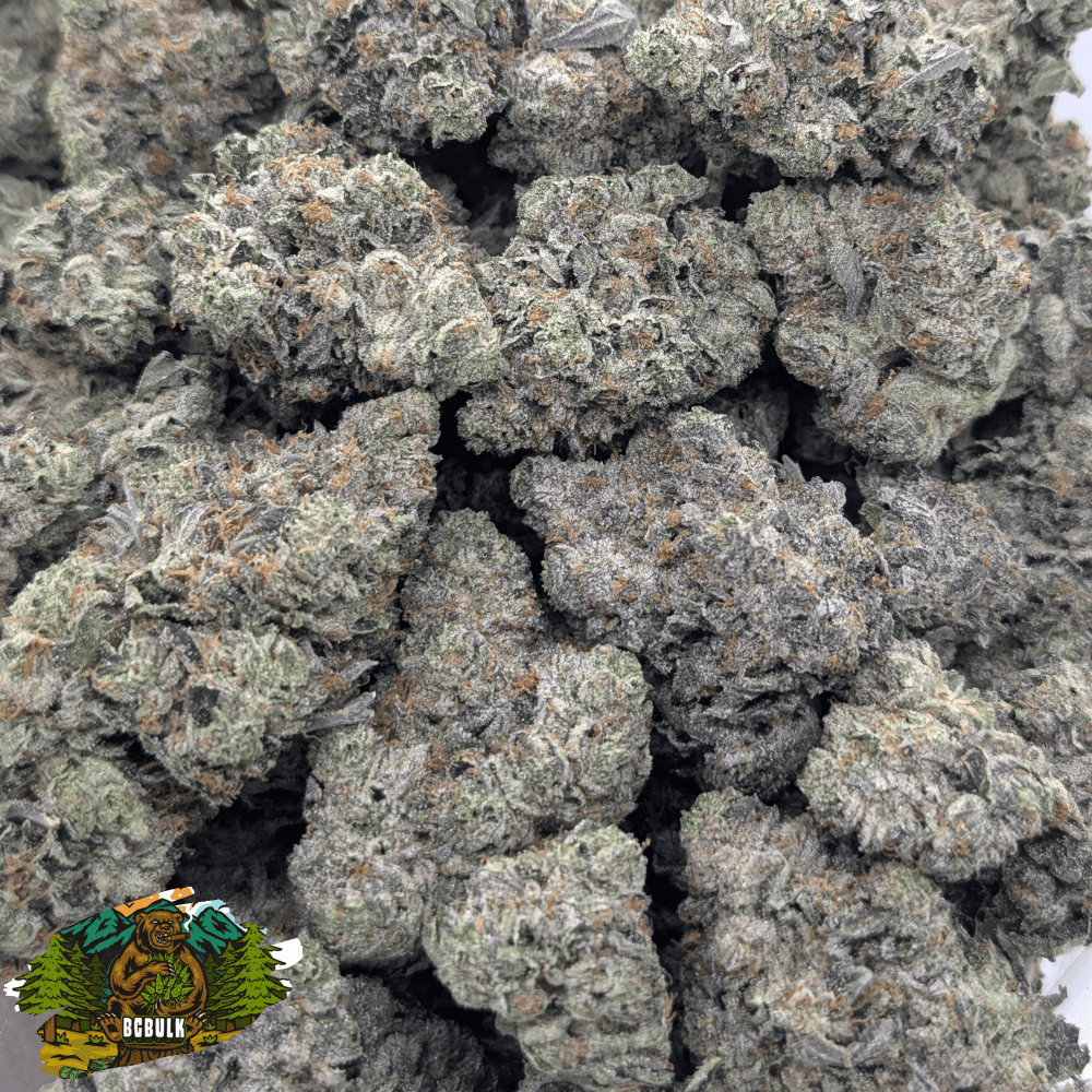 strain island pink 3